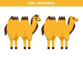 finden 3 Unterschiede zwischen zwei süß Karikatur Bactrian Kamel. vektor