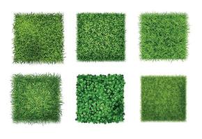 grönt gräs realistisk uppsättning vektor