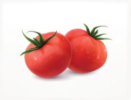 Tomaten realistisches Design vektor
