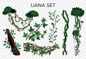 tropisches lianen-set