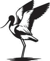 avocet fågel vektor silhuett illustration svart Färg