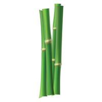 Vektor viele Bambus Stiele Illustration auf Weiß Hintergrund