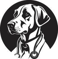 Veterinär Sachverstand im Illustration pfötchen perfekt Vektoren Tierarzt Pflege