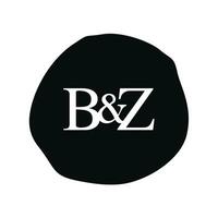 bz Initiale Logo Brief Bürste Monogramm Firma vektor