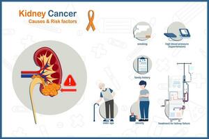 medizinisch Vektor Illustration Konzept von Niere Krebsursachen und Risiko Faktoren von Niere Krebs, älter Alter, Rauchen, Fettleibigkeit, hoch Blut Druck, Familie Geschichte von Niere Krebsbehandlung zum Niere Fehler