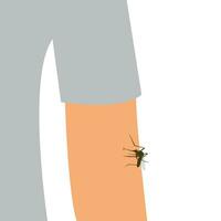 mygga bita på de hud av de mänsklig hand. de insekt biter de man i hans vapen. drycker blod. vektor