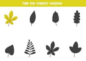 Finden Sie den richtigen Schatten des süßen Herbstblattes. logisches Puzzle für Kinder. vektor