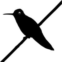 thront Kolibri Silhouette, können verwenden Kunst Illustration, Webseite, Logo Gramm, Piktogramm oder Grafik Design Element. Vektor Illustration