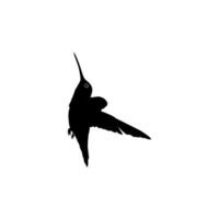 flygande kolibri silhuett, kan använda sig av konst illustration, hemsida, logotyp gram, piktogram eller grafisk design element. vektor illustration