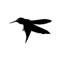 fliegend Kolibri Silhouette, können verwenden Kunst Illustration, Webseite, Logo Gramm, Piktogramm oder Grafik Design Element. Vektor Illustration