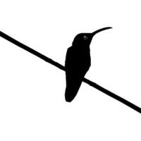 thront Kolibri Silhouette, können verwenden Kunst Illustration, Webseite, Logo Gramm, Piktogramm oder Grafik Design Element. Vektor Illustration