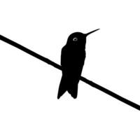 thront Kolibri Silhouette, können verwenden Kunst Illustration, Webseite, Logo Gramm, Piktogramm oder Grafik Design Element. Vektor Illustration