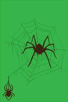 Spinne Netz einstellen isoliert auf Grün Hintergrund. unheimlich Halloween Spinne Netz mit Spinnen. Gliederung Vektor Illustration