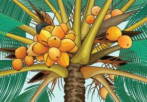 Gelb Kokosnuss Obst Baum Vektor zum Hintergrund Design.