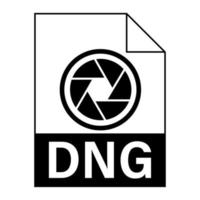 modernes flaches Design des Dng-Dateisymbols für das Web vektor