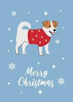 Weihnachten Jack Russell Terrier im Hand gezeichnet Stil. Gruß Text fröhlich Weihnachten. schön Illustration zum Gruß Karten, Plakate und saisonal Design. vektor