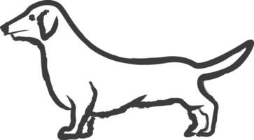 tax hund hand dragen vektor illustration
