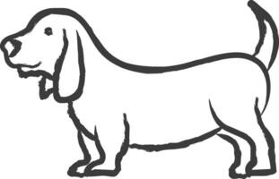 basset hund hund hand dragen vektor illustration