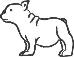 franska bulldogg hund hand dragen vektor illustration