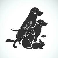 Vektor Gruppe von Haustiere - - Hund, Katze, summend Vogel, Papagei, Hase isoliert auf Weiß Hintergrund. Haustier Symbol oder Logo, einfach editierbar geschichtet Vektor Illustration.