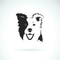vektor av en gräns collie hund på vit bakgrund. sällskapsdjur. djur. hund logotyp eller ikon. lätt redigerbar skiktad vektor illustration.