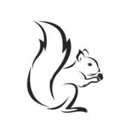 Vektor von Eichhörnchen Design auf Weiß Hintergrund. einfach editierbar geschichtet Vektor Illustration. wild Tiere.