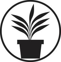 naiv krukmakeri silhuett växt ikon design ikoniska grönska emblem svartvit symbol vektor