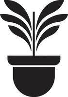 elegant krukmakeri förträfflighet ikoniska pott design kunglig oas emblem modern svartvit logotyp vektor