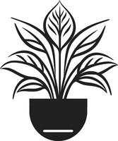 botanisch Harmonie ikonisch Pflanze Topf Regal Topf Majestät emblematisch Logo vektor