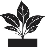 ikoniska krukmakeri emblem av tillväxt logotyp konst kunglig grönska majestät vektor växt pott