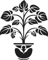 glatt Grün Symbol modern Vektor Emblem Regal Garten Schönheit schwarz Keramik Symbol