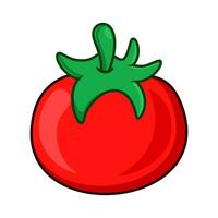 vektor tomat frukt tecknad serie ikon illustration. mat frukt ikon begrepp isolerat