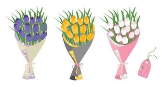 Strauß von Tulpe Blumen. Tulpe Blume Strauß Vektor Illustration. Frühling Blume. Blumen- Strauß eingewickelt im Geschenk Papier. Geschenk zum Besondere Tag, Feier Tag mögen Geburtstag, Lehrer Tag, Frauen Tag.