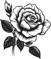 elegant Garten Botschafter stilvoll Emblem Regal Rose Majestät emblematisch blühen Emblem vektor