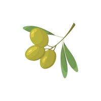 Grün Oliven Vektor Symbol. Olive Ast Illustration. Oliven mit Blätter. Ast mit Grün Oliven und Blätter im Vektor.