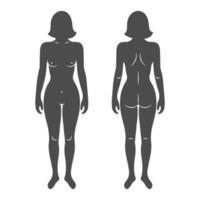 silhuetter av de kvinna mänsklig kropp, främre och tillbaka vyer. anatomi. medicinsk och begrepp. illustration, vektor