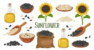 solros uppsättning. solros olja, solros växt, frön i en duk väska, trä- sked och skål. lantbruk, mat. vektor