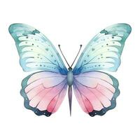 Aquarell exotisch Schmetterling. Vektor Illustration mit Hand gezeichnet Schmetterling, Motte. Clip Kunst Bild.