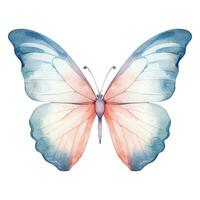 Aquarell exotisch Schmetterling. Vektor Illustration mit Hand gezeichnet Schmetterling, Motte. Clip Kunst Bild.