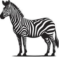 zebra djur- vektor silhuett 10