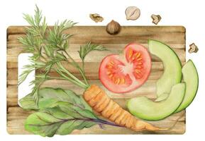 Hand gezeichnet Aquarell Gemüse und Kraut mischen zum Diät und gesund Lebensstil, Salat vegan Kochen. Illustration Komposition isoliert auf Weiß Hintergrund. Design zum Poster, drucken, Webseite, Karte, Speisekarte vektor