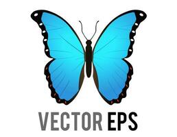 Vektor isoliert schön geflügelt Insekt Schmetterling Symbol mit Blau und schwarz Morpho Flügel ausgebreitet