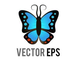 vektor skön bevingad insekt fjäril ikon med blå och svart morpho vingar utbredd