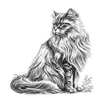 flauschige Katze Sitzung Hand gezeichnet skizzieren Vektor Illustration