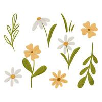 uppsättning av Söt enkel daisy blommor. kupong med kamomill i scandinavian stil. stiliserade mycket liten blommor, digital illustration för kort, inbjudningar, dekorationer vektor