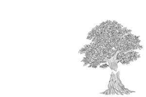 retro stil natur illustration med detaljer. oliv träd trunk. vektor