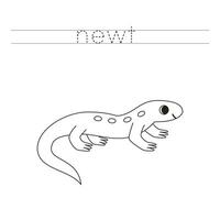 Spur das Briefe und Farbe Karikatur Newt. Handschrift trainieren zum Kinder. vektor