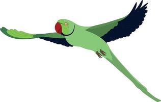 grüner papagei indischer ringhalssittich fliegende vektorillustration vektor