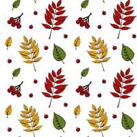 Herbst nahtlose Muster mit Blättern und Beeren vektor