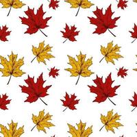 Herbst Ahornblätter nahtlose Muster e Strichzeichnungen vektor